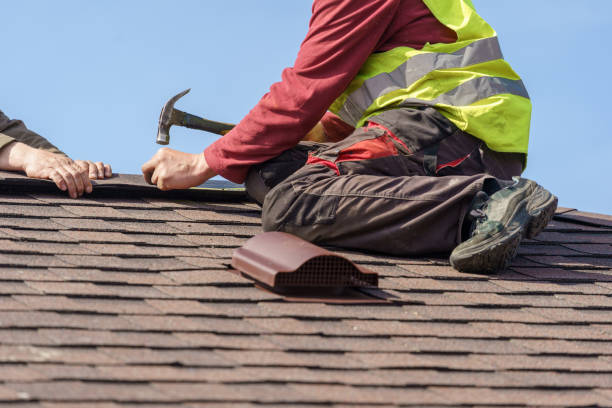 Best Roof Maintenance Services  in Ellitt, CO